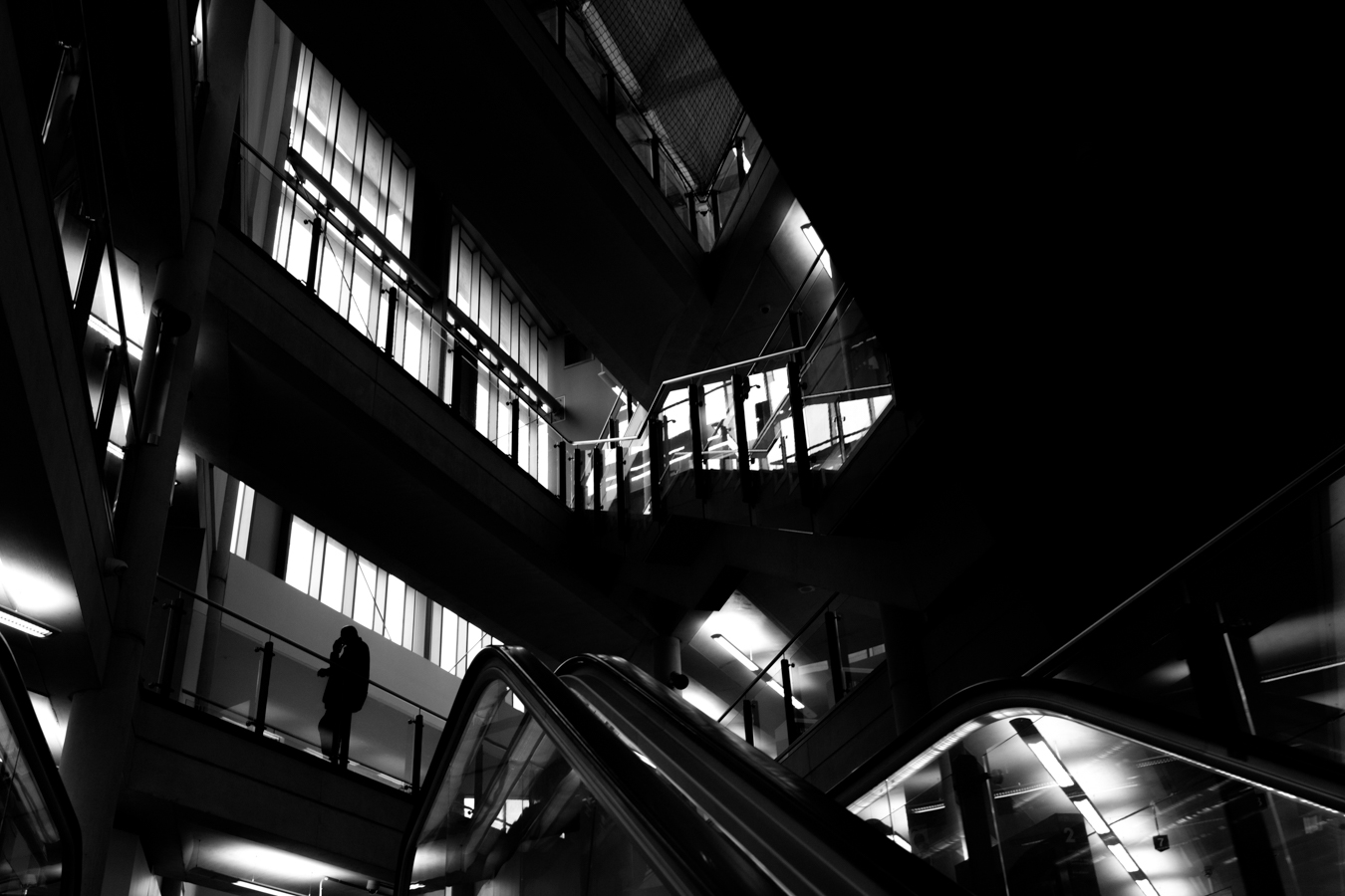 Cardiff Library